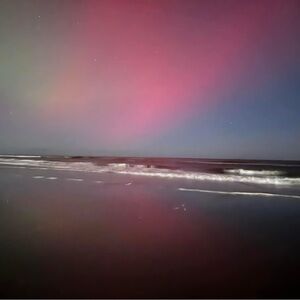 Meet your Posher, Chrissy